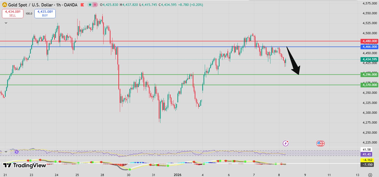 Fxnova_xauusd_2026.1.8
