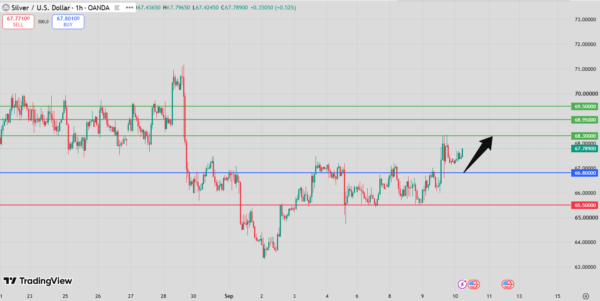 Silver Intraday Forecast bullish above 65.76
